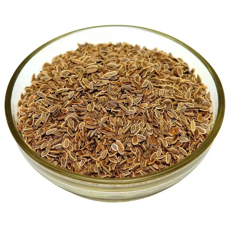Aromatic Dill Seeds